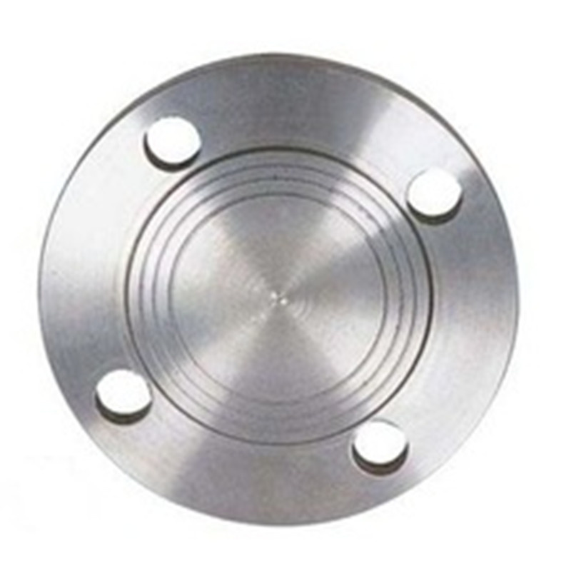 Asme B16.5 Stainless Steel Forging Flange