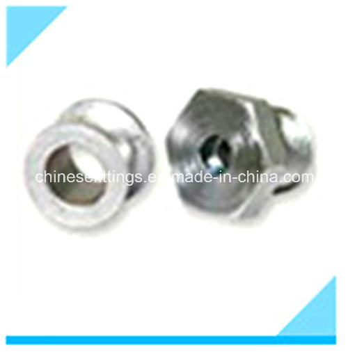 Forging Fitting Hex Head Stainless Steel Bushing
