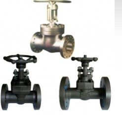 Close Die Forging Valve (HS-08)