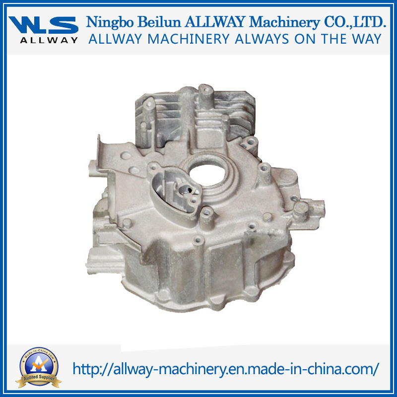 High Pressure Die Cast Die Sw019 Gasoline Engine Housing/Castings