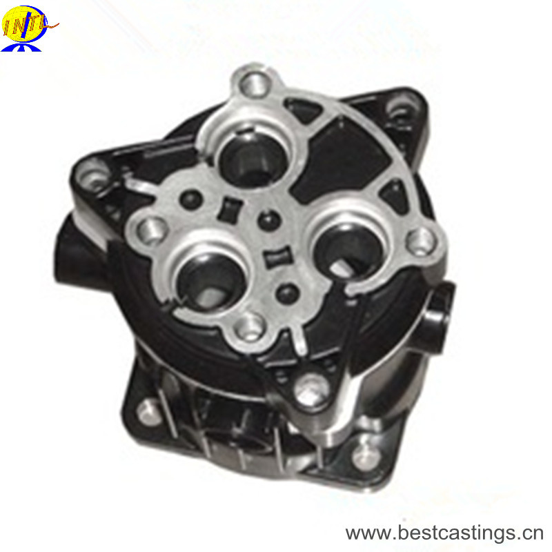 China Manufacturer Aluminum Die Casting with Powder Coating Black