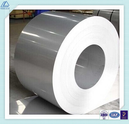 Various Size Aluminum/Aluminium Coil Alloy for Wall Ceiling Panel