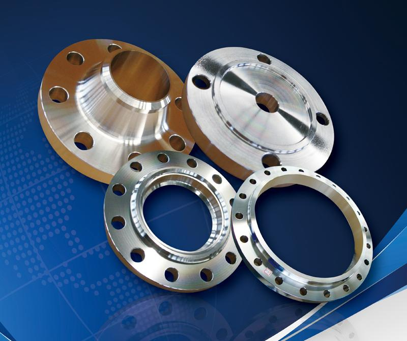 Blind Flange (BL) Stainless Steel Forged Flange Bl-6