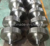 Flange Companion/ Thread Flange for Wellhead