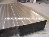 1.2083 Steel