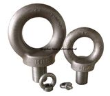 Forging Lifting Eye Bolts DIN580 (M6~M100)