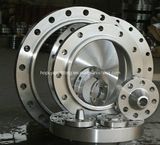 ANSI Standard Stainless Steel Flange