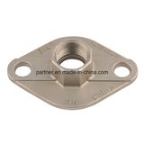 Stainless Steel Flange