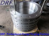 Manufacturers Selling GOST Flange (DIN Flange/ BSW Flange)