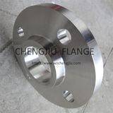 Wen Zhou Cheng Jiu Stainless Steel Flange Factory