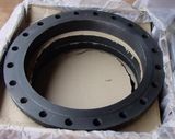 Stainless Steel Big Forgings Flange