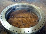 Hot Forged Steel Forging Flange Parts