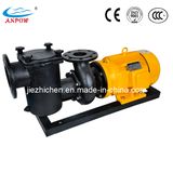 Iron Casting Swimming Pool Circulating Water Pump