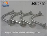 Hot DIP Galvanized Forging Lifting Anchor for Precast Concrete