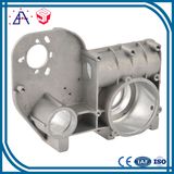 OEM Customized Aluminium Die Casting Part (SY1077)