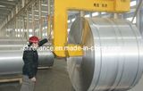 Aluminum/Aluminium Foil Coil for Lid