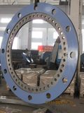 Forged Flange