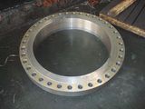 Forging Flange for Vessel