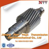 Hardened Helical Gear Shaft