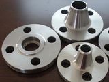 Stainless Steel Forged Flange