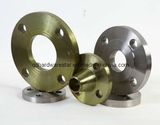 Steel Flange / Carbon Steel Flange