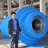 Hydraulic Cylinder for Water Press