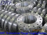 Welding Neck Flange Factory