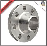 Stainless Steel 304/316 Flanges (YZF-F137)