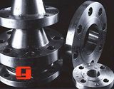 ANSI B16.5 Forged Flanges