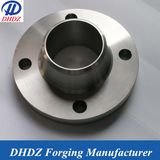 SS316L Welding Neck Flange (DH026)