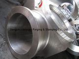 Forging Valve Body /Forged Valve Body (JYLY(J02010))