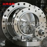 Stainless Steel Pipe Flange