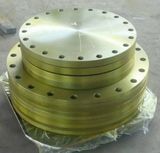 Forged Carbon Steel Blind Flange CS Flange (DN15)