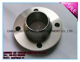 300lbs Welding Neck Alloy Flanges