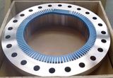 Stainless Flange