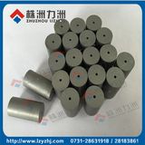 Tungsten Carbide Cold Forging Dies From Manufacturer