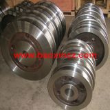 Changzhou Baoxin Metallurgy Equipment Manufacturing Co., Ltd.