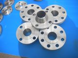 Dingxiang Xingwang Flanges and Forging Co.,Ltd.