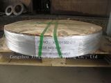 DIN2527 Pn10 Blind Flange (DN15-DN1200)