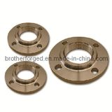 Manufacture High Quality Flange (ASTM, JIS, DIN, ANSI)