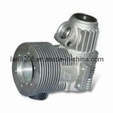 Aluminum Precision Die Casting Part (YWD-010)