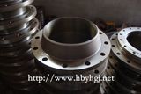 Forging Stainless Steel Flange