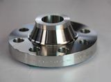 ANSI B16.5 Stainless Steel Flanges