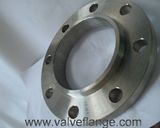 ANSI Standard Flange Slip-on Flange 300#