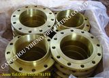 Stainless Steel Flange