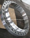 Stainless Steel Flanges