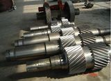 Forged Gear Shaft