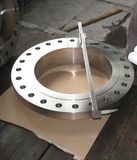 1.4541 Flanges