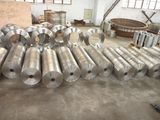 Forged/Forging Rings/Flange/Tube Sheet