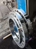 Stainless Steel Flange Pl Flange